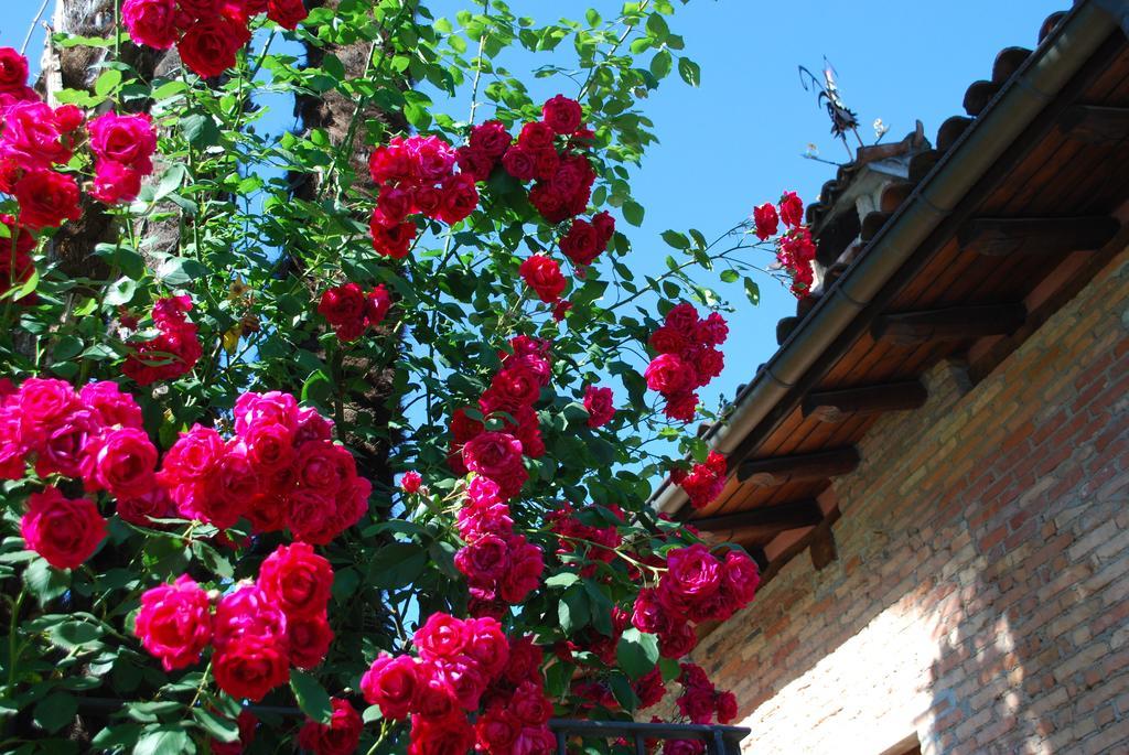 Albergue Hotel&hostel Montarina Lugano